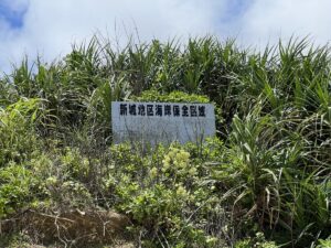 【宮古島はやっぱり最高】綺麗な海を見ながらの作業はとても捗ります